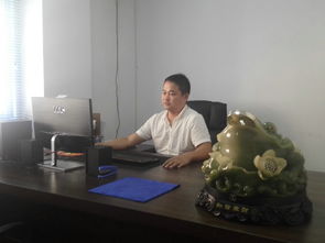 陜西興海普惠信息咨詢服務有限旬陽分公司 專業信息咨詢服務助力區域發展