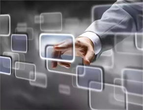 泰安廣寶寶馬信息咨詢服務 專業購車顧問，駕馭精彩未來